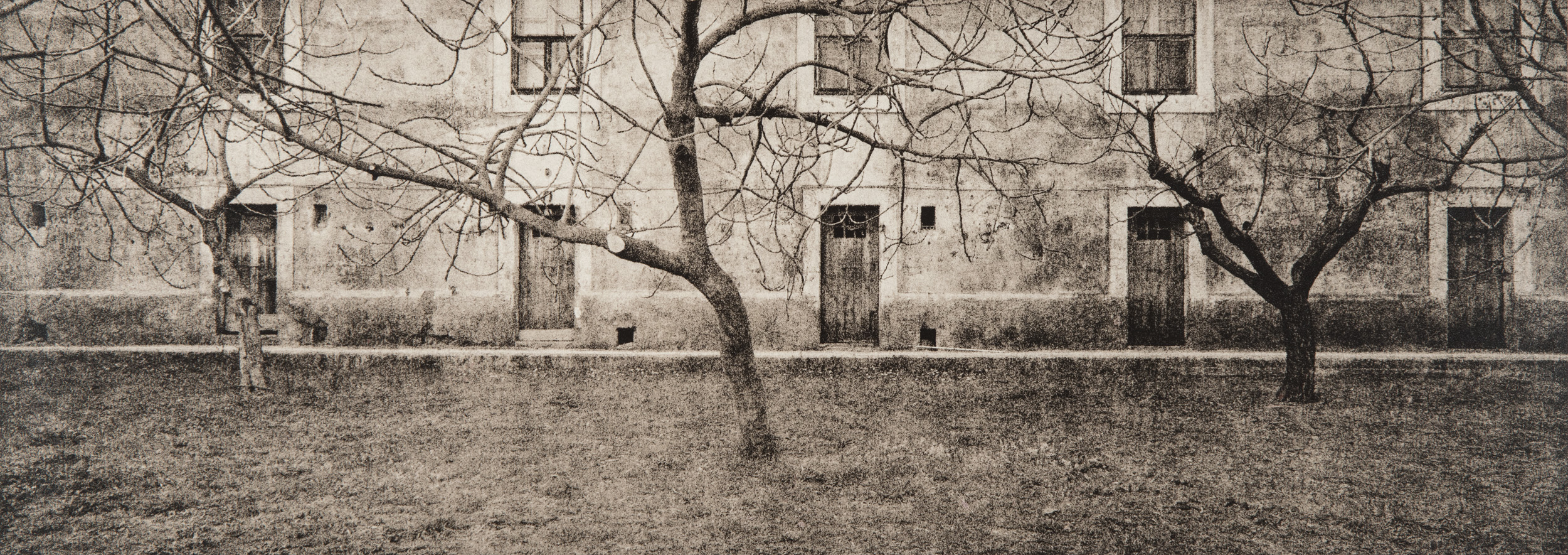 Untitled #9, 2014-2016 from the series 'Se non avessi visto' Gelatin silver lith print 45,5x16,5 cm Unique Artwork