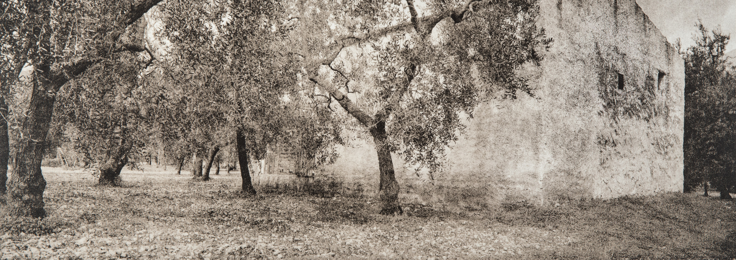 Untitled #12, 2014-2016 from the series 'Se non avessi visto' Gelatin silver lith print 45,5x16,5 cm Unique Artwork