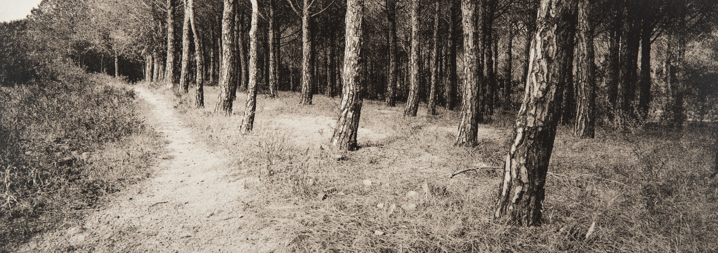 Untitled #13, 2014-2016 from the series 'Se non avessi visto' Gelatin silver lith print 45,5x16,5 cm Unique Artwork